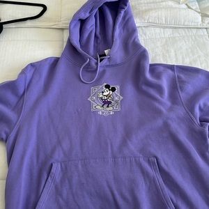 Disney 100th Celebration Hoodie